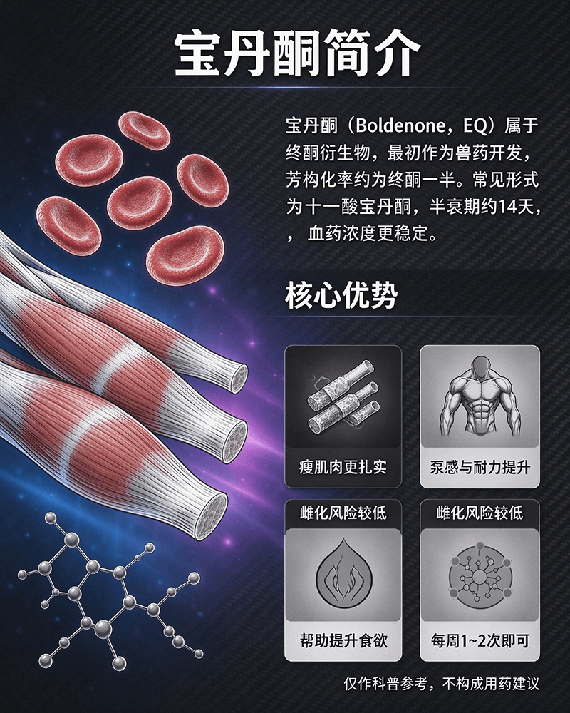 宝丹酮科学增肌与训练恢复