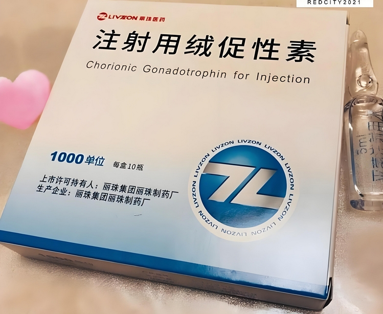 人绒毛膜抑制促性腺激素HCG