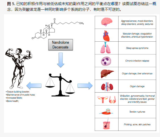 图 5. 已知的积极作用与被低估或未知的副作用之间的平衡点在哪里?该图试图总结这一概念,因为癸酸诺龙是一种同时影响多个系统的分子,有时是不可逆的。