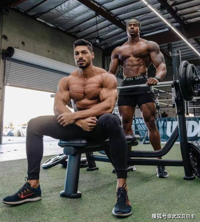 什么是SARMs?各类SARMs的功能及副作用深入了解