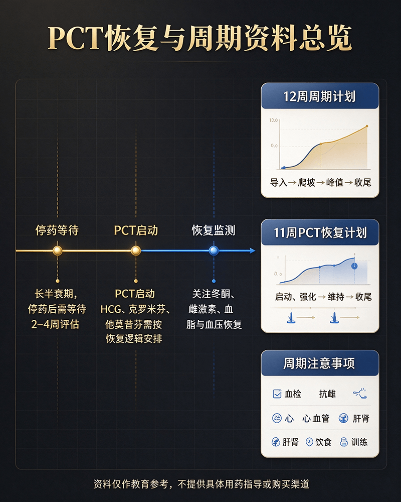 宝丹酮cycle计划和恢复