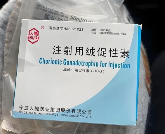 绒促hcg在合成代谢类固醇周期中使用还是周期后使用?