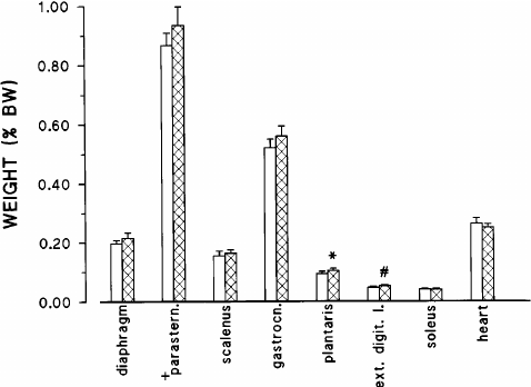 合成代谢类固醇苯丙酸诺龙NPP (Durabolin) 对雌性大鼠身体成分分析