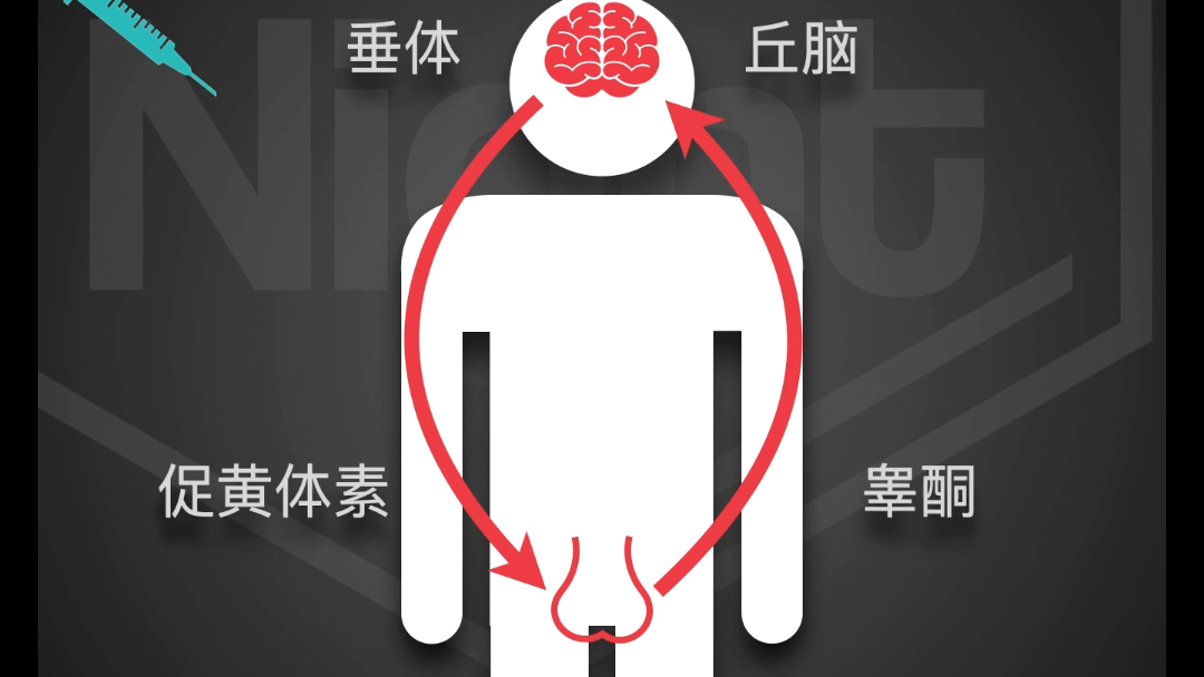 关于用类固醇以后睾酮低是怎么回事的信息 关于用类固醇以后睾酮低是怎么回事的信息