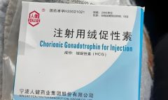 绒促hcg在合成代谢类固醇周期中使用还是周期后使用?