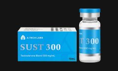 混合睾酮(Sustanon 300)