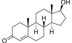 睾酮是什么