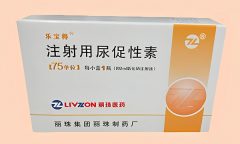 HMG尿液促性素是什么药？HMG的功效和作用
