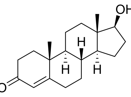 睾酮是什么